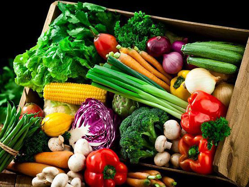 蔬菜粉加工及蔬菜中功能成分提取
